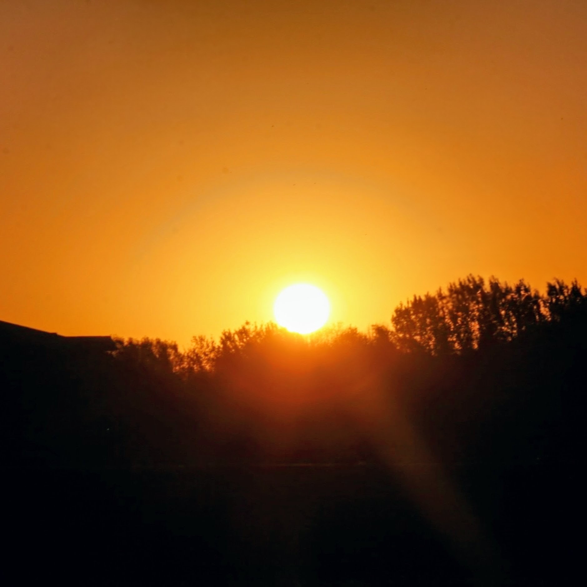 MIND, BODY, AND SPIRIT