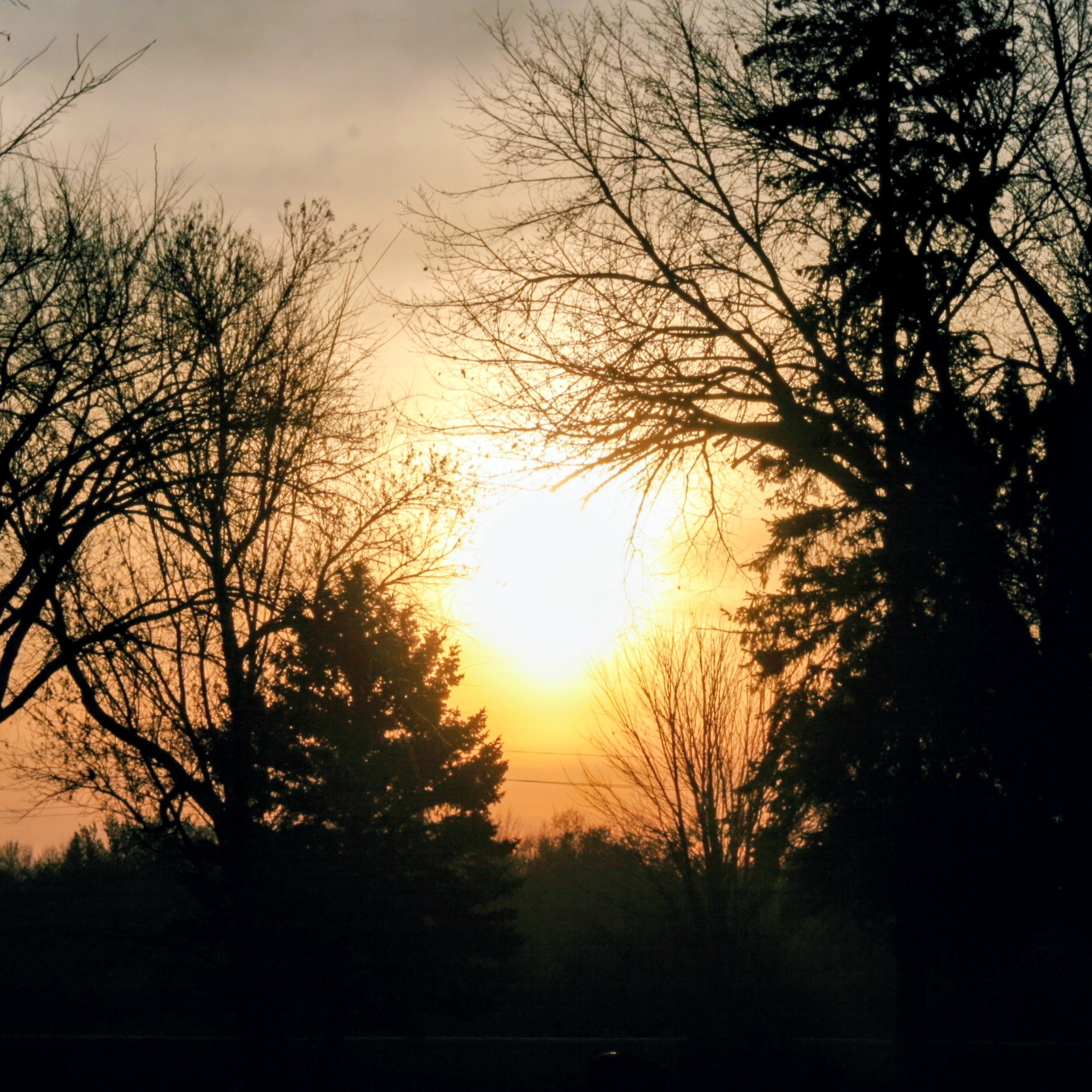 SURVIVING THE STORMS