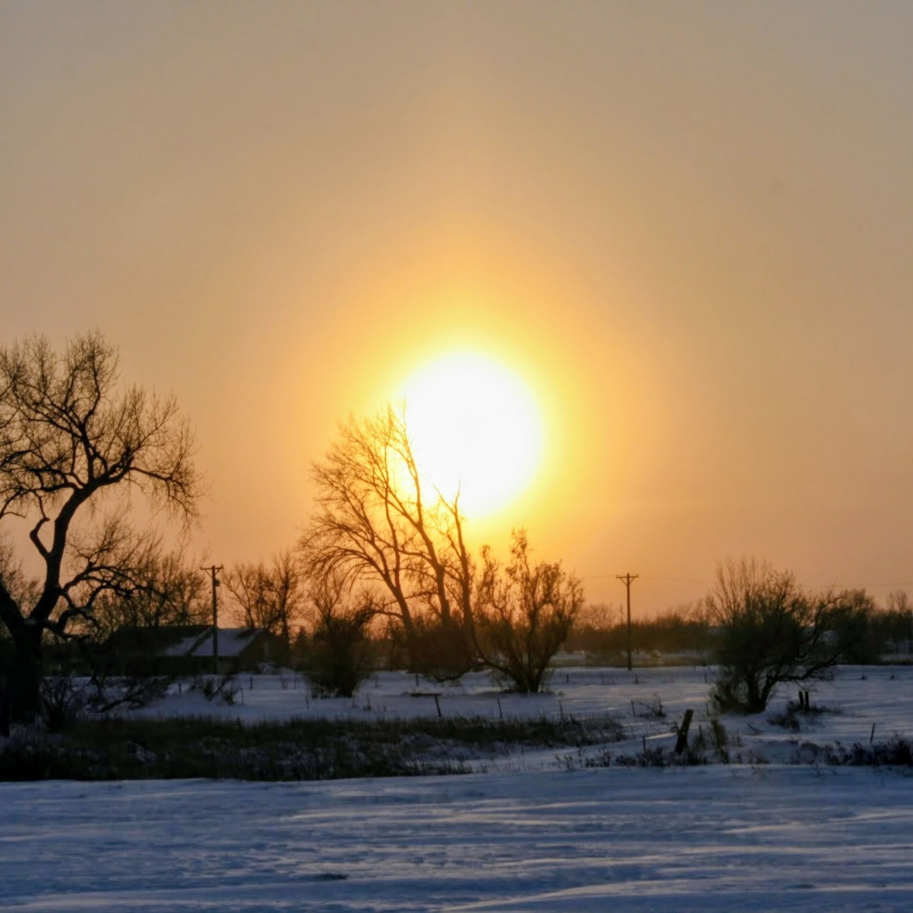 1ST SUNDAY OF ADVENT 