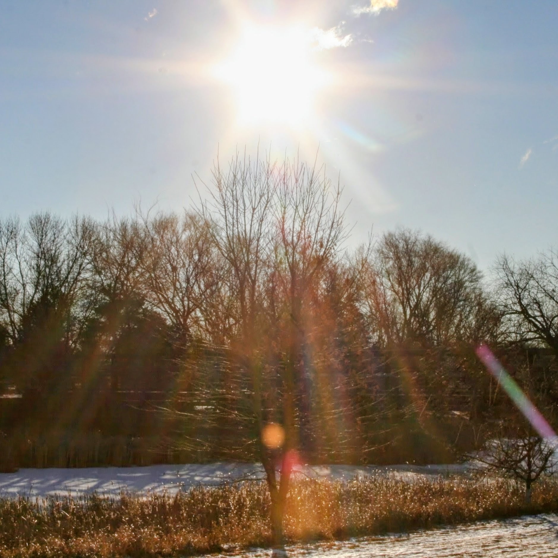 2ND SUNDAY OF ADVENT 