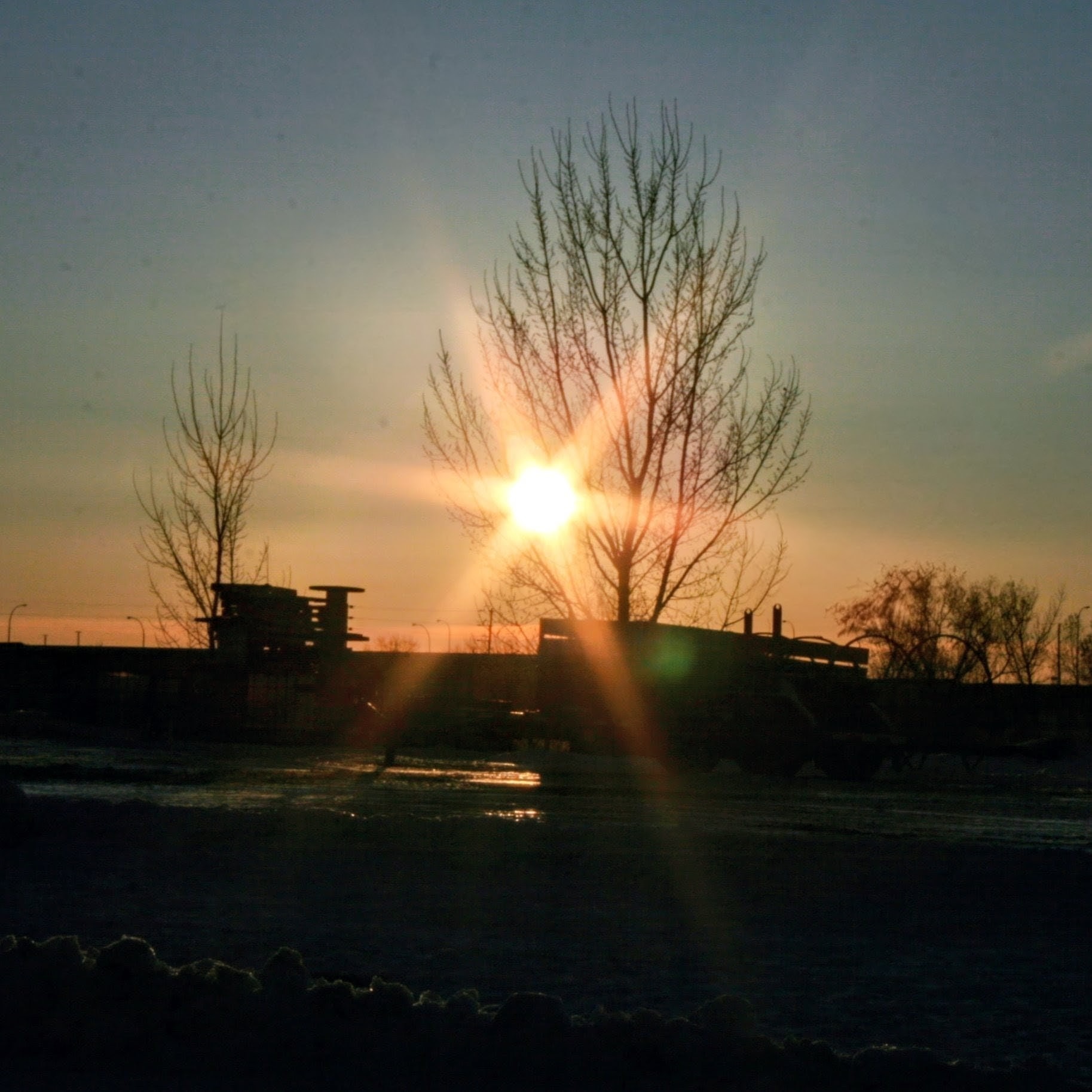 3RD SUNDAY OF ADVENT 