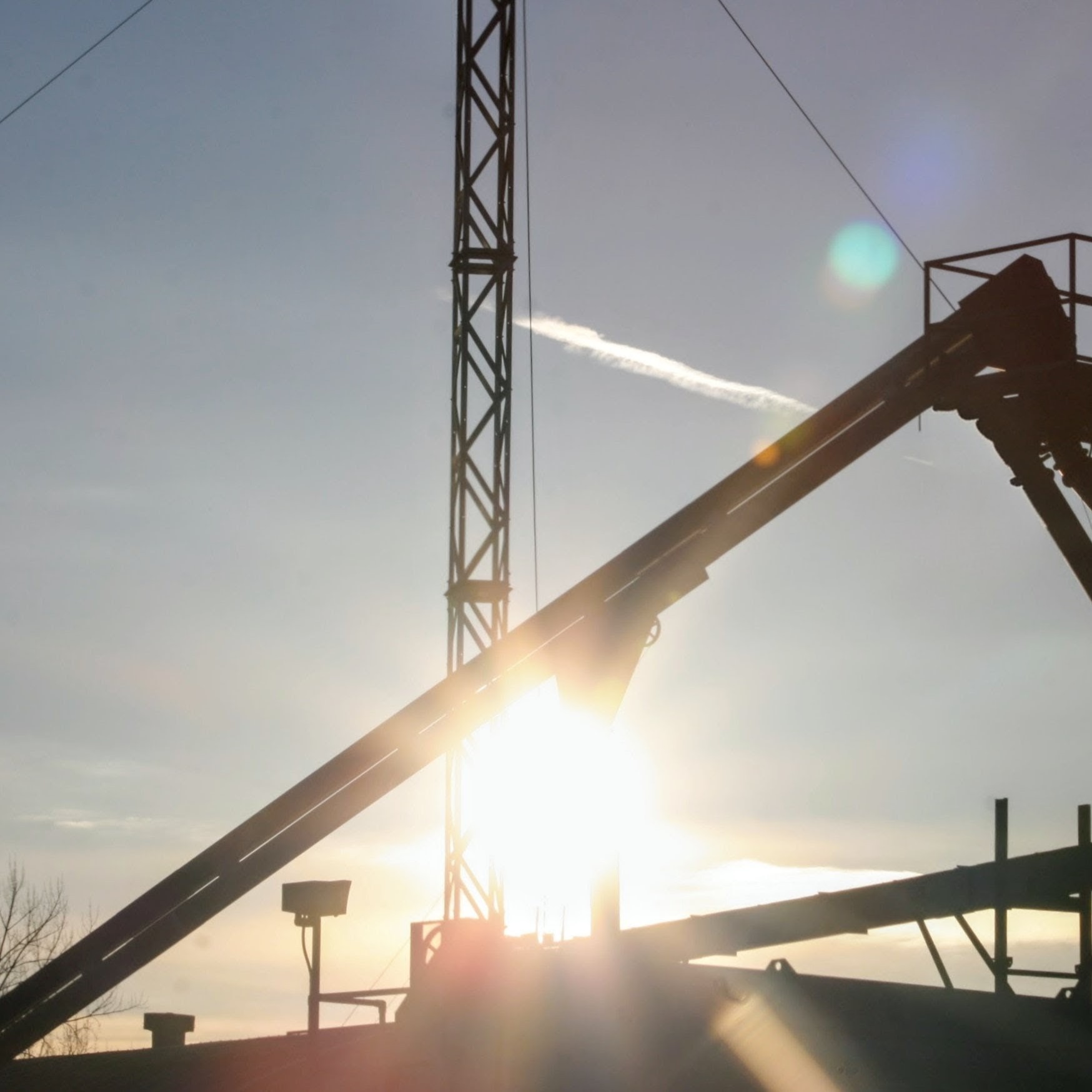 UNDER HIS WING UNDER HIS WING