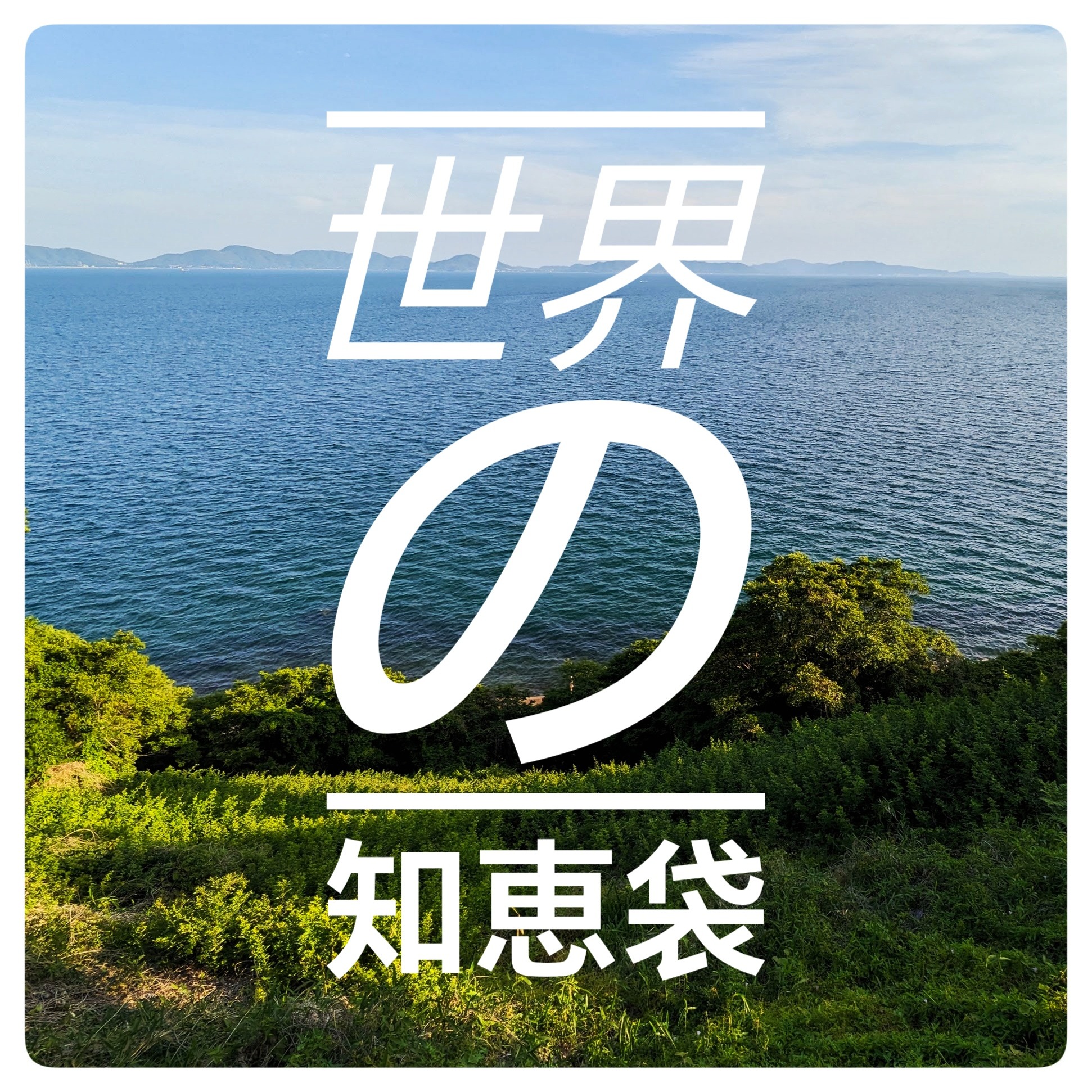 世界の知恵袋