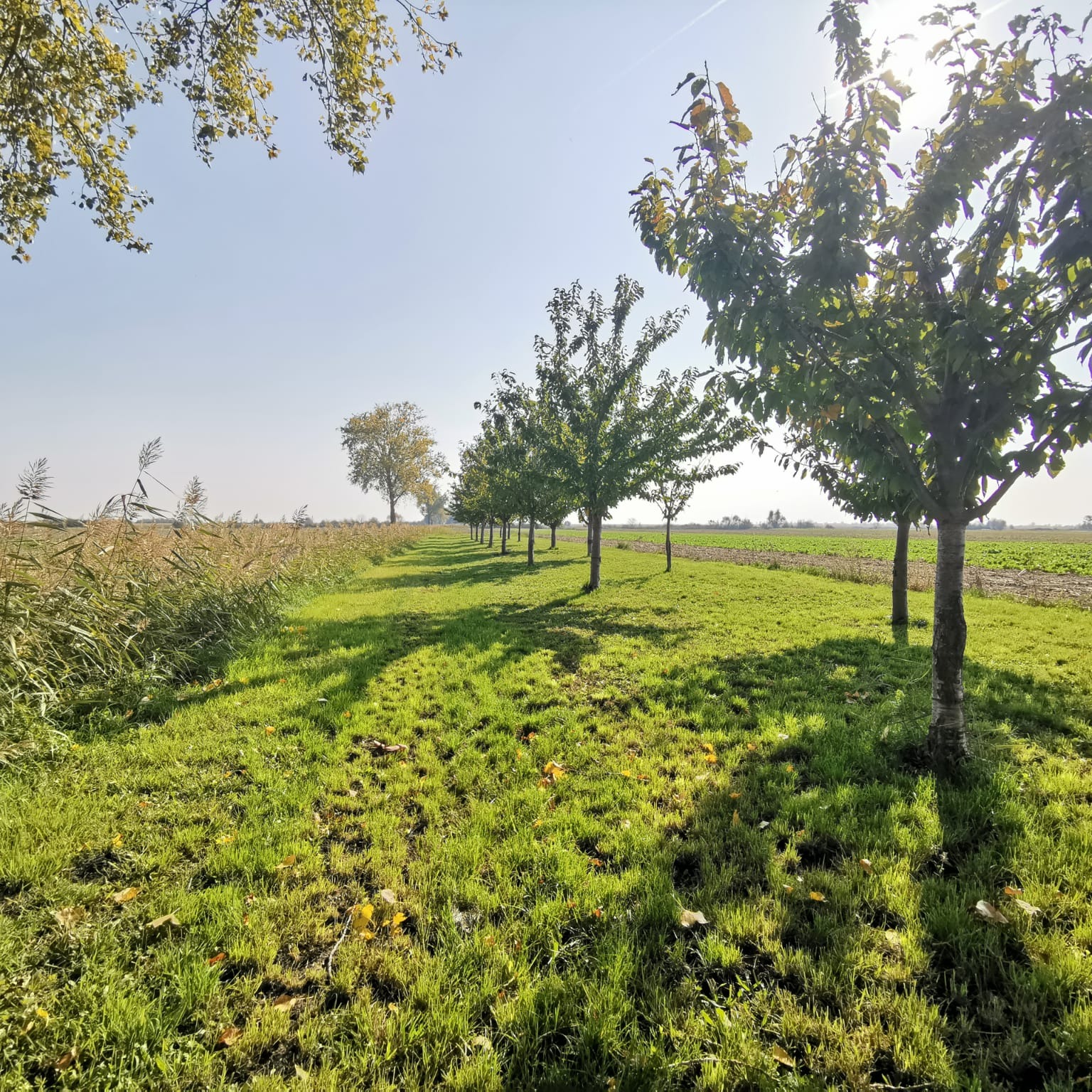 Nachhaltige Gemeinde: Natur und das menschliche Wohl als Symbiose