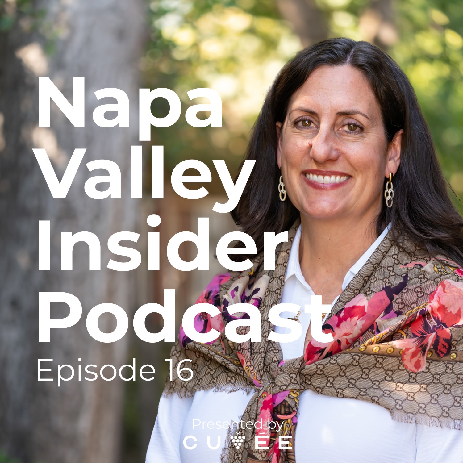 Napa Valley Insider Podcast