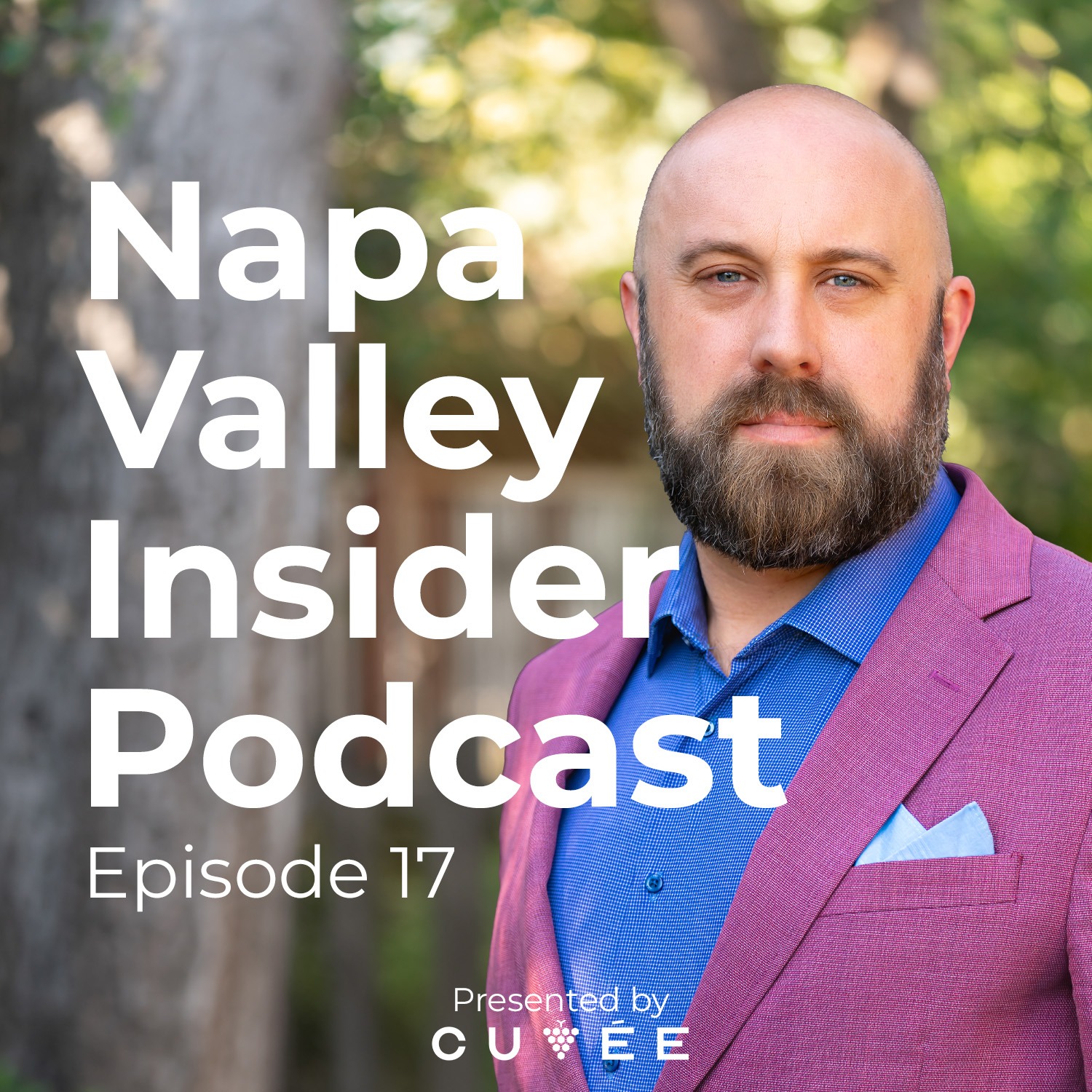 Napa Valley Insider Podcast