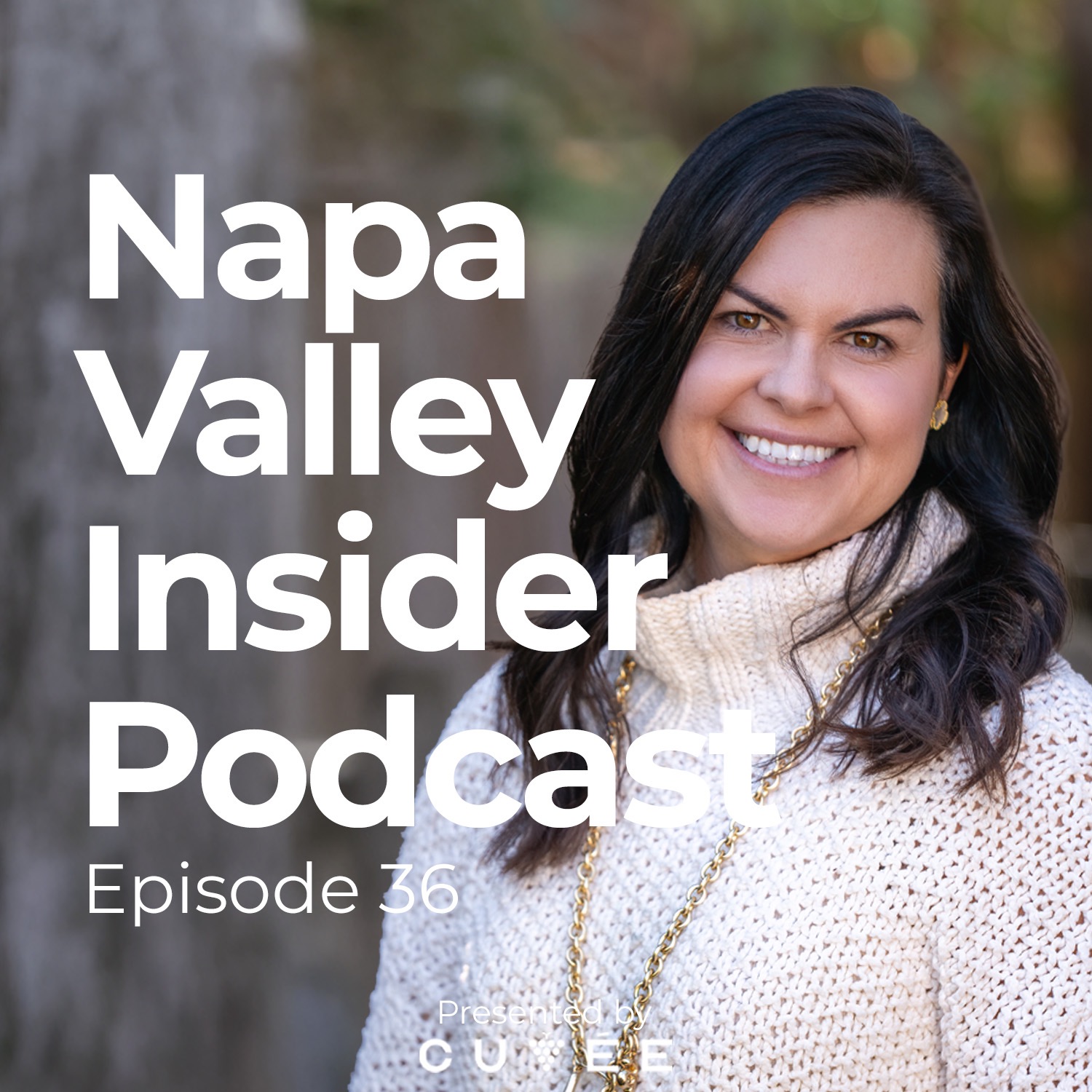Napa Valley Insider Podcast