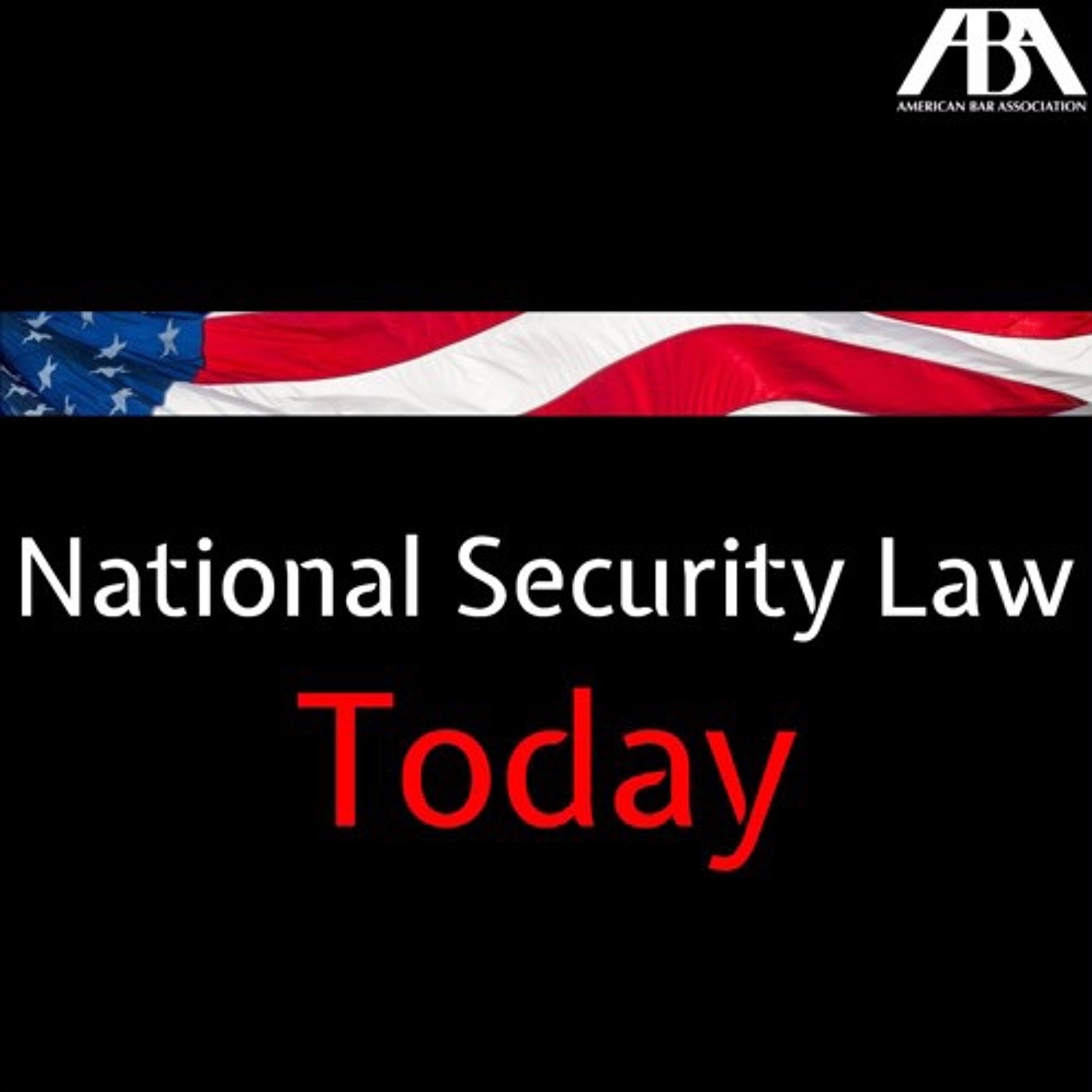 National Security Law Today