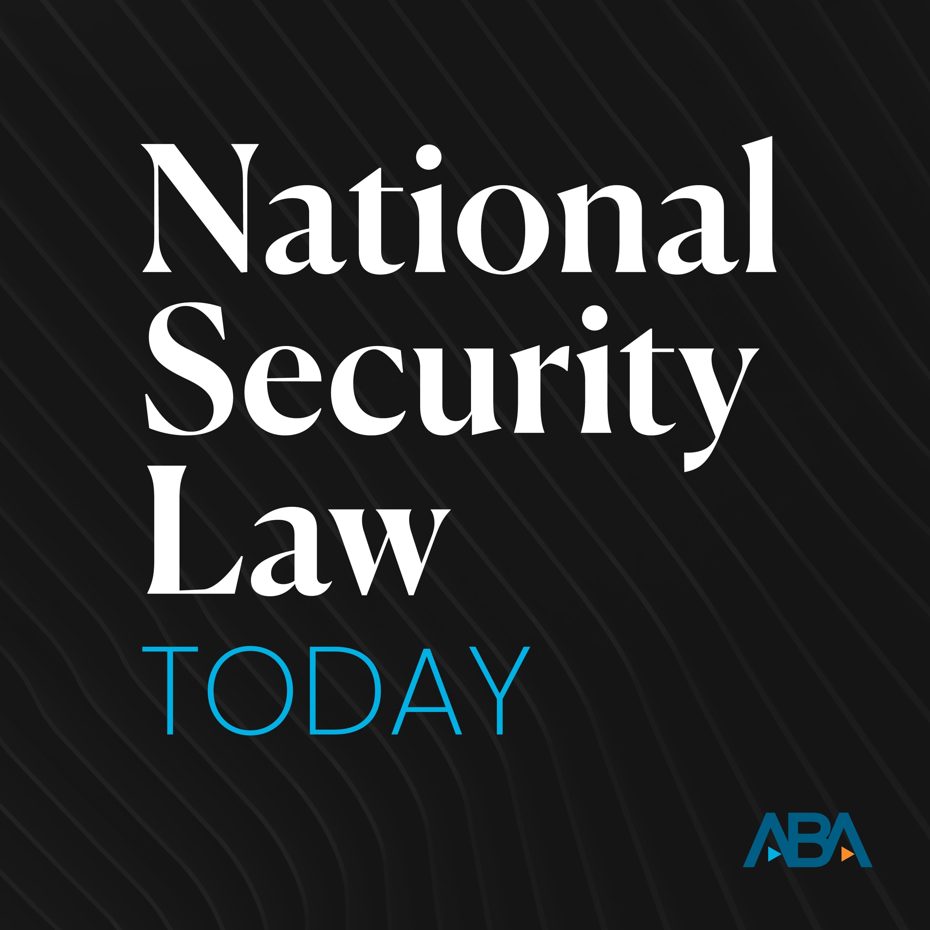 National Security and Emerging Technologies with Lala Qadir episode artwork