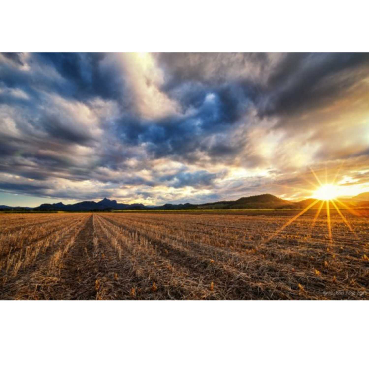 SEGUÍA EN LA AGRICULTURA