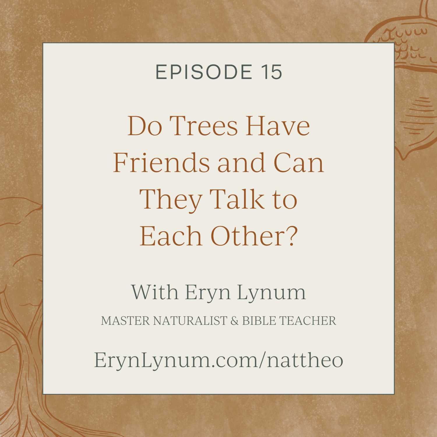 Do Trees Have Friends and Can They Talk to Each Other? Nat Theo