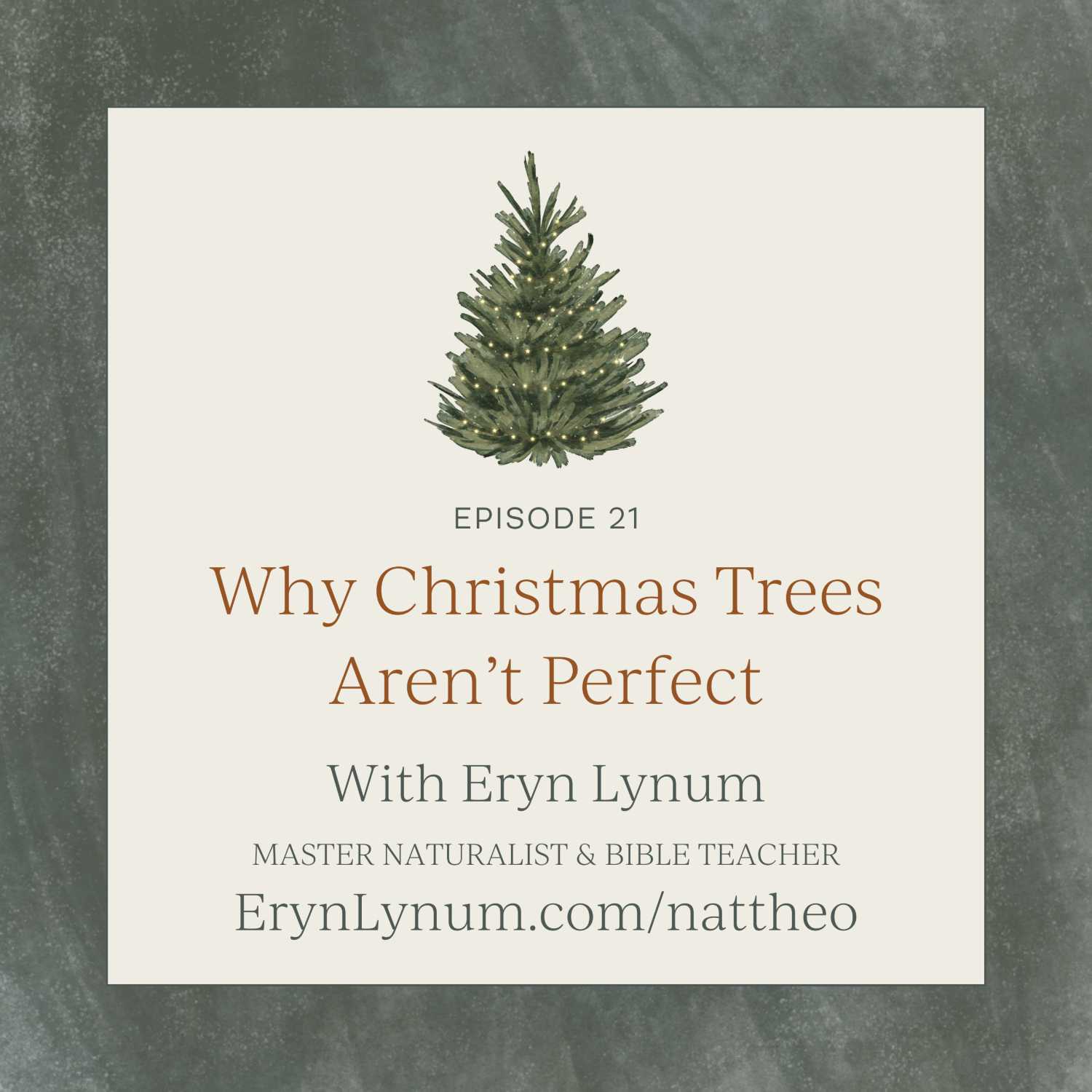Why Christmas Trees Aren't Perfect A Christmas Special Episode 21
