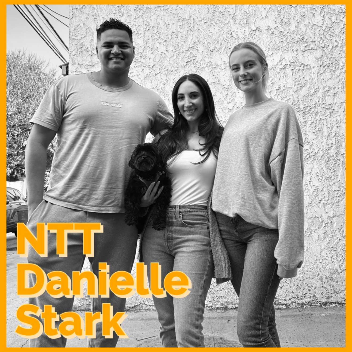 NTT Danielle Stark episode artwork