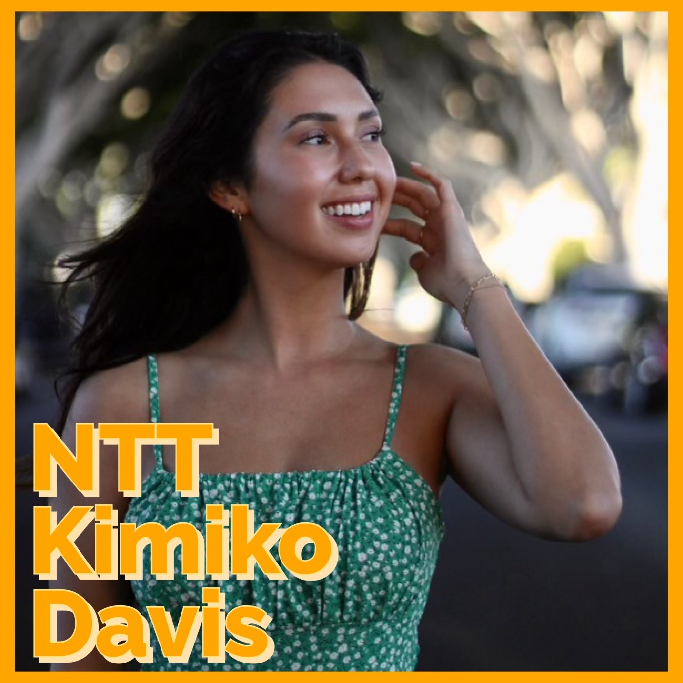 NTT Kimiko Davis episode artwork