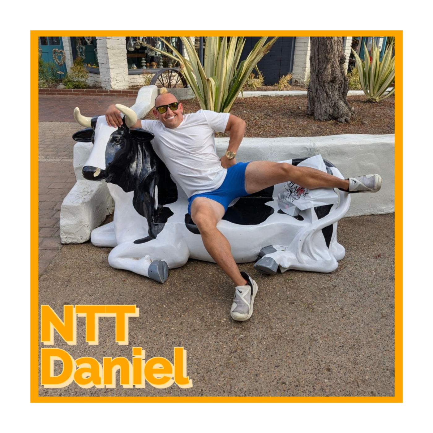 NTT Daniel episode artwork