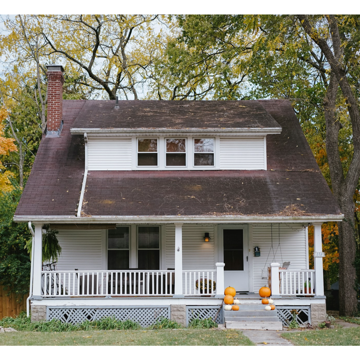 Whispers of the Wilderness