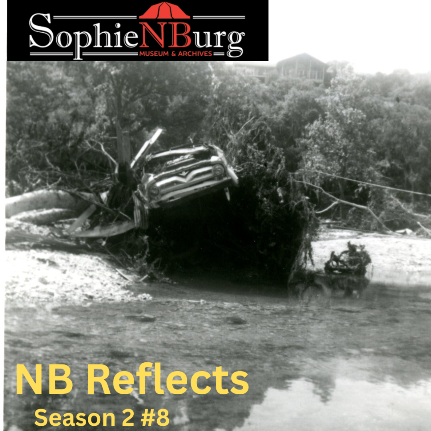 NB Reflects