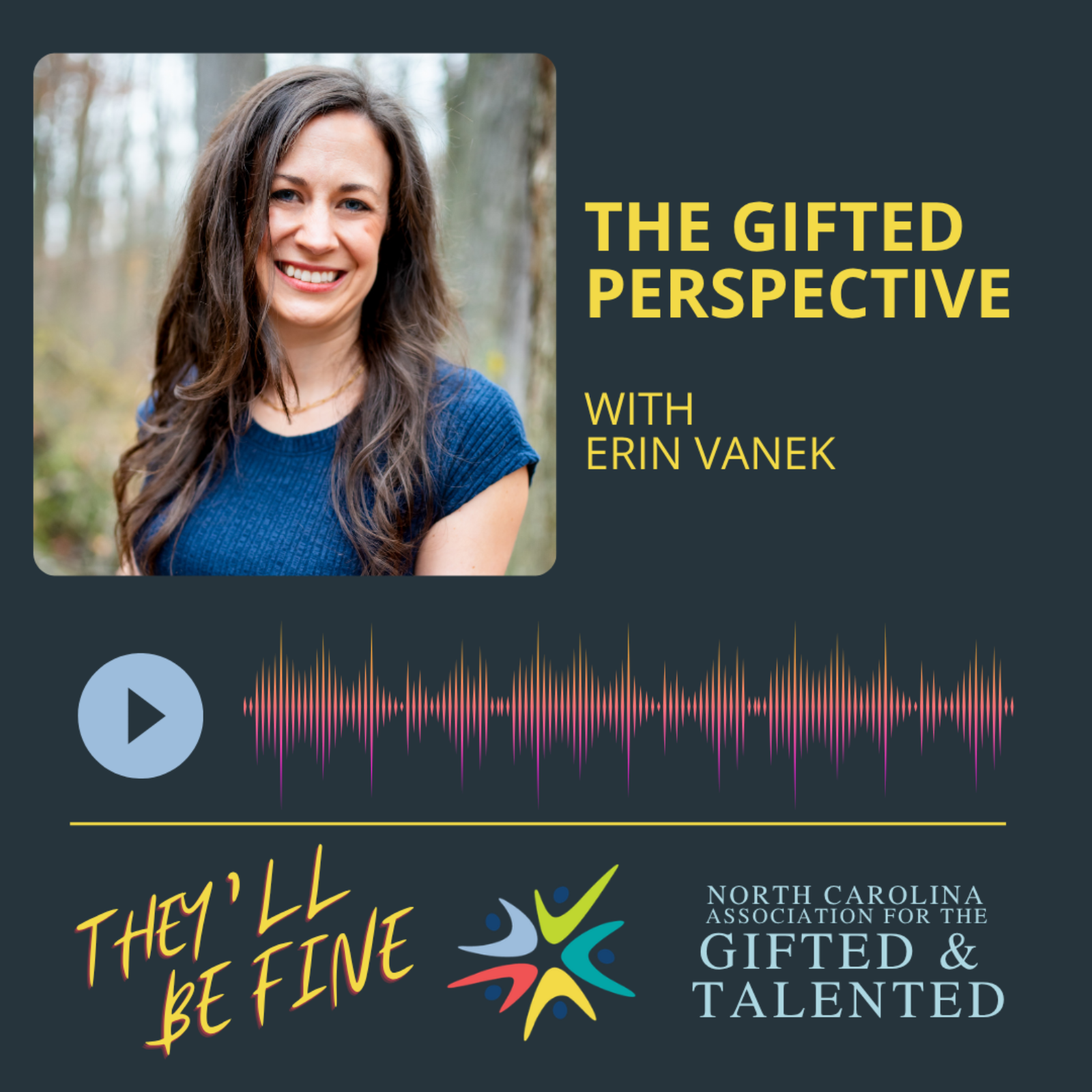 The Gifted Perspective with Erin Vanek episode artwork