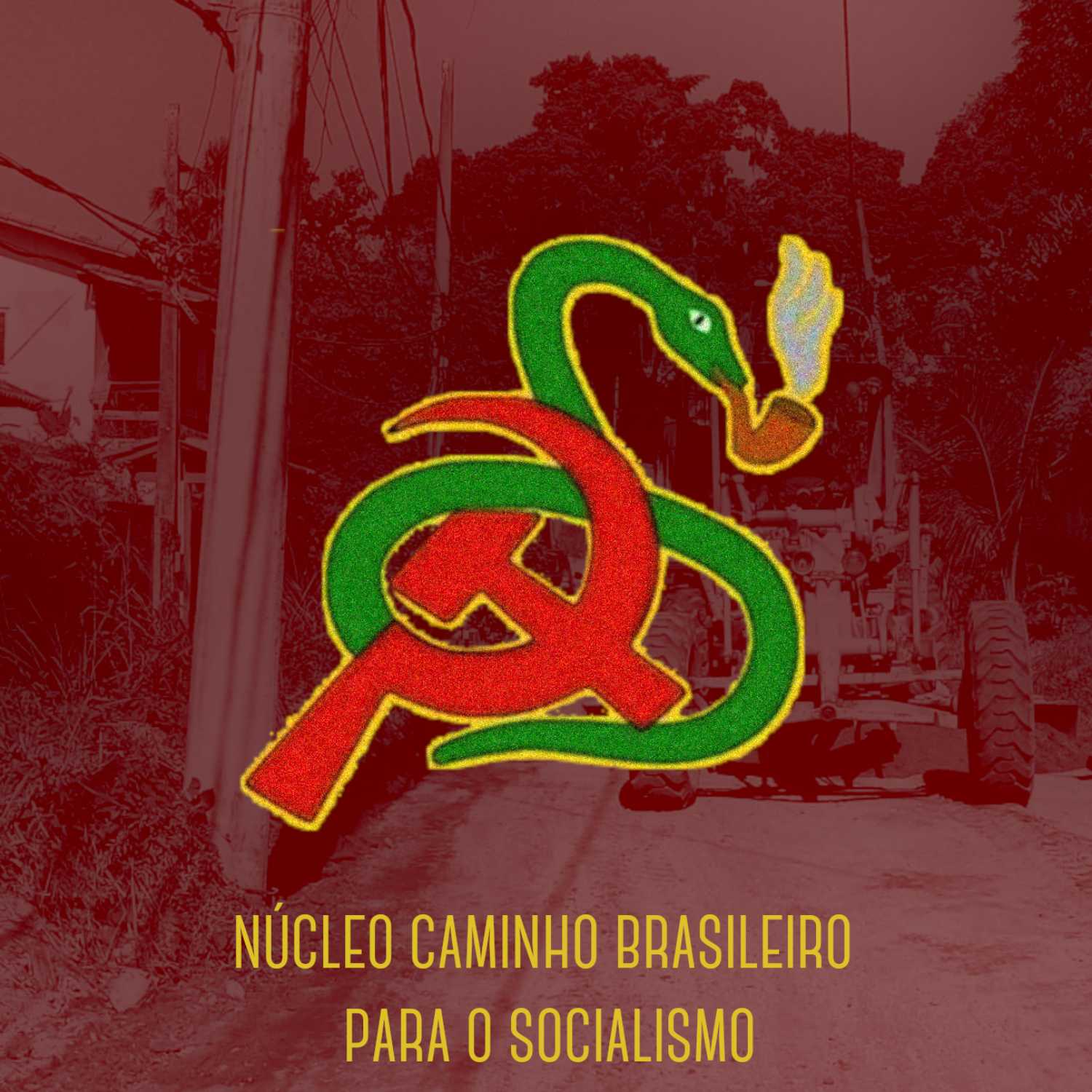 O Caminho Brasileiro para o Socialismo