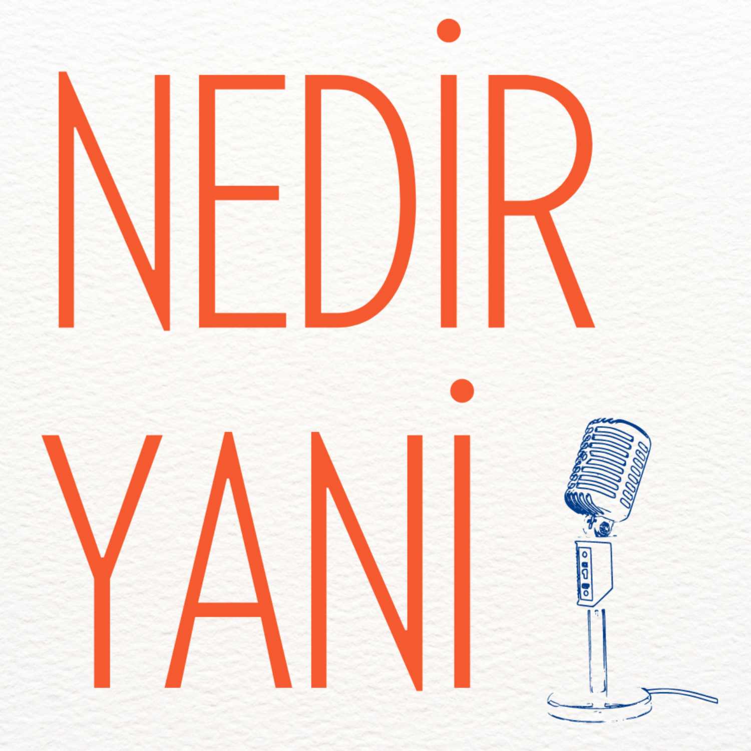 Nedir yani?
