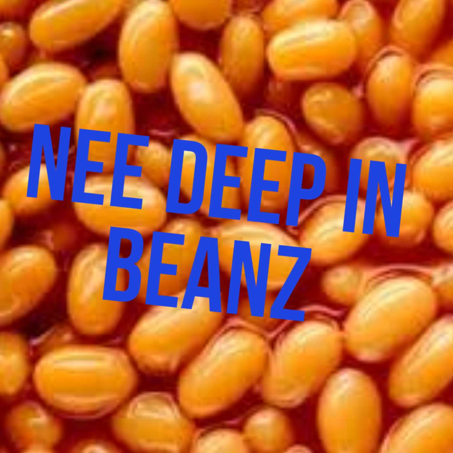 Needeepinbeanz podcast artwork