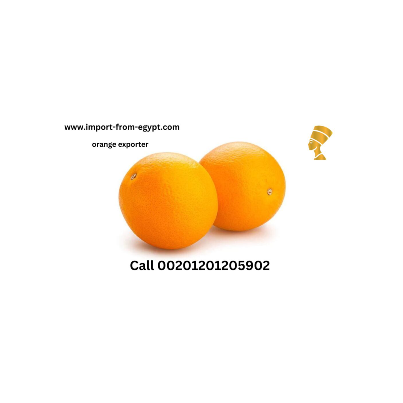 Nefartete Company For Orange Export 
