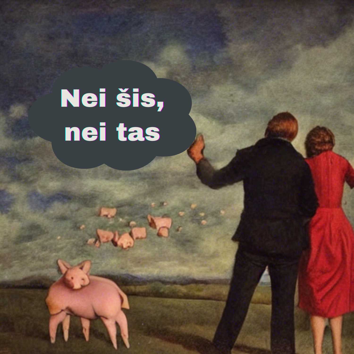 Nei šis, nei tas
