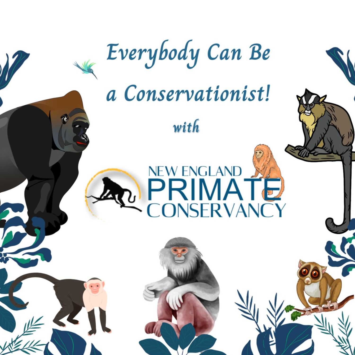 Everybody Can Be a Conservationist podcast artwork