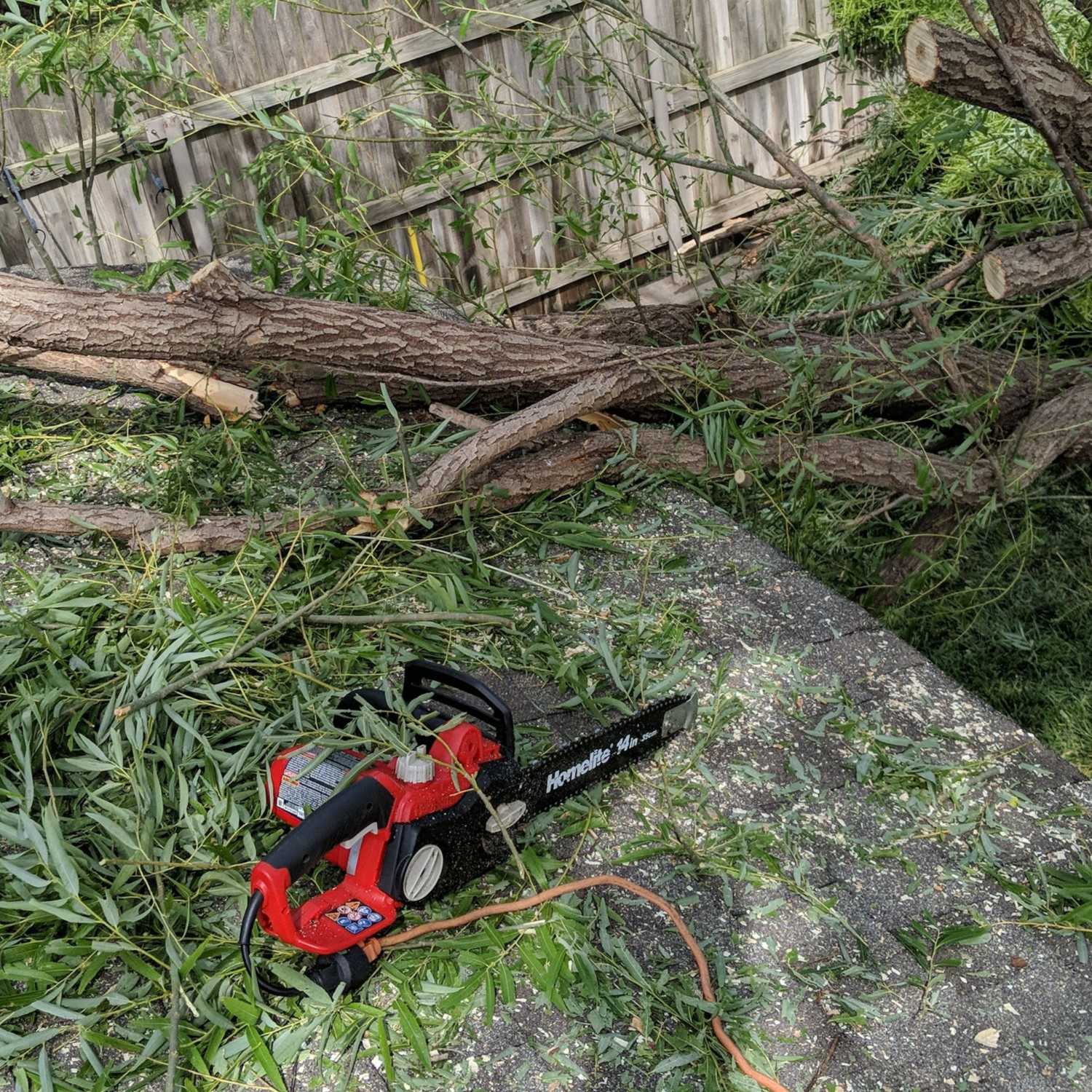Nerds With Chainsaws