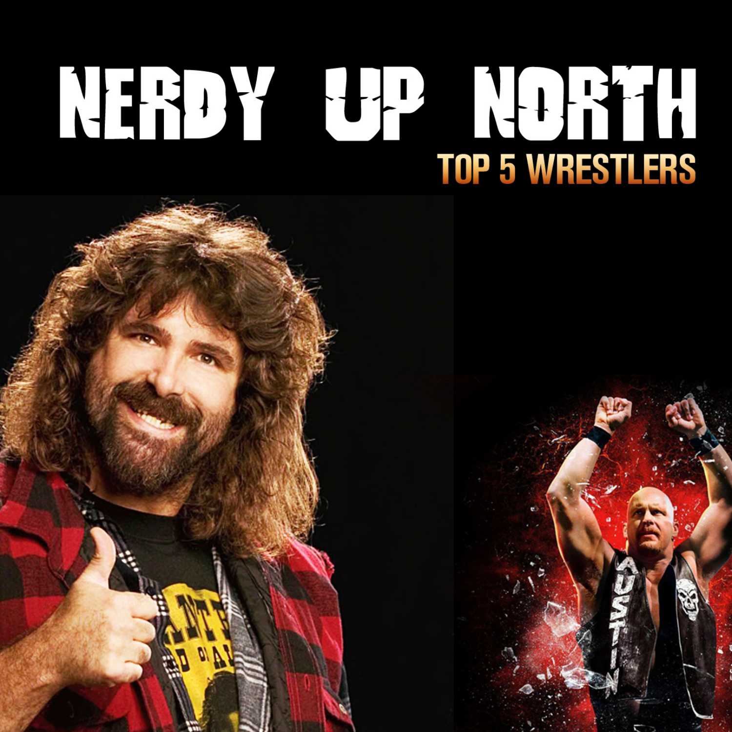 Nerdy Up North Podcast