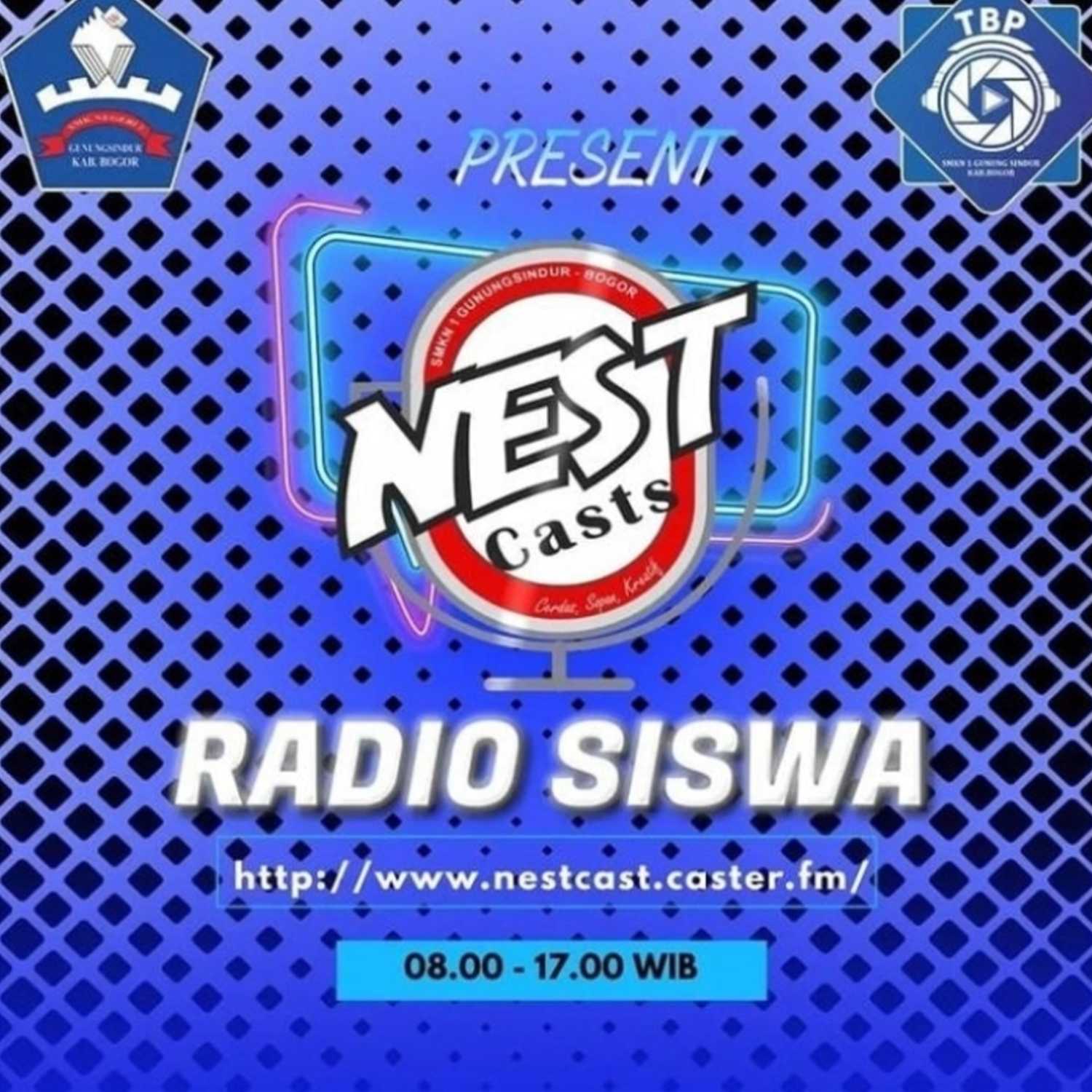 Nest Cast Radio