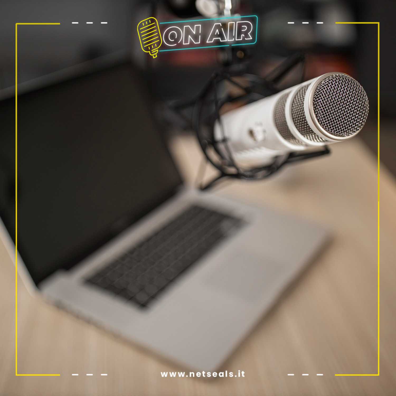 Net Seals's Podcast