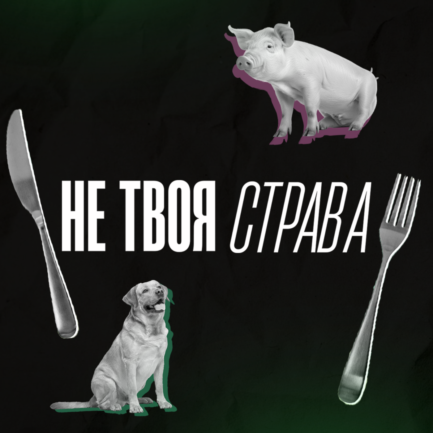 Не твоя страва podcast artwork