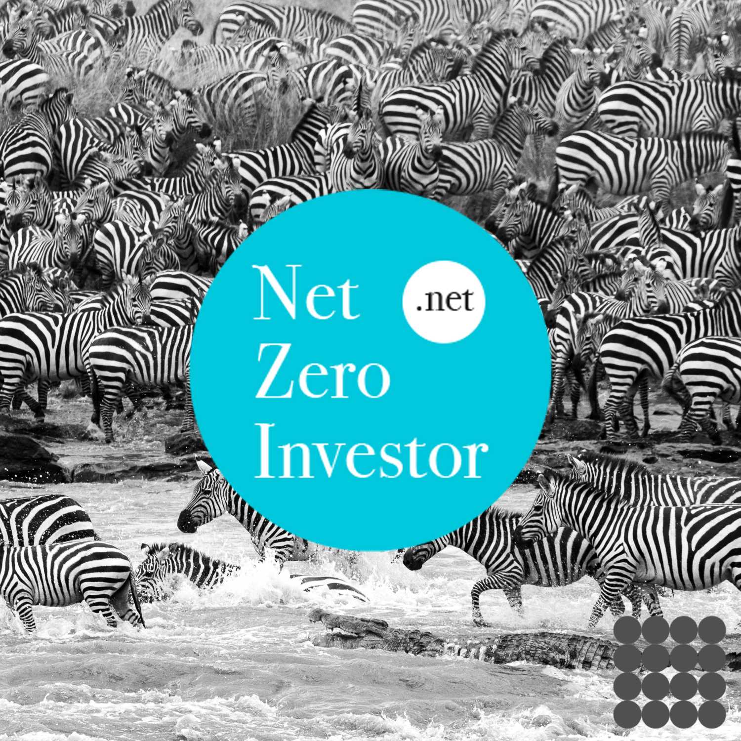 The Net Zero Investor Podcast