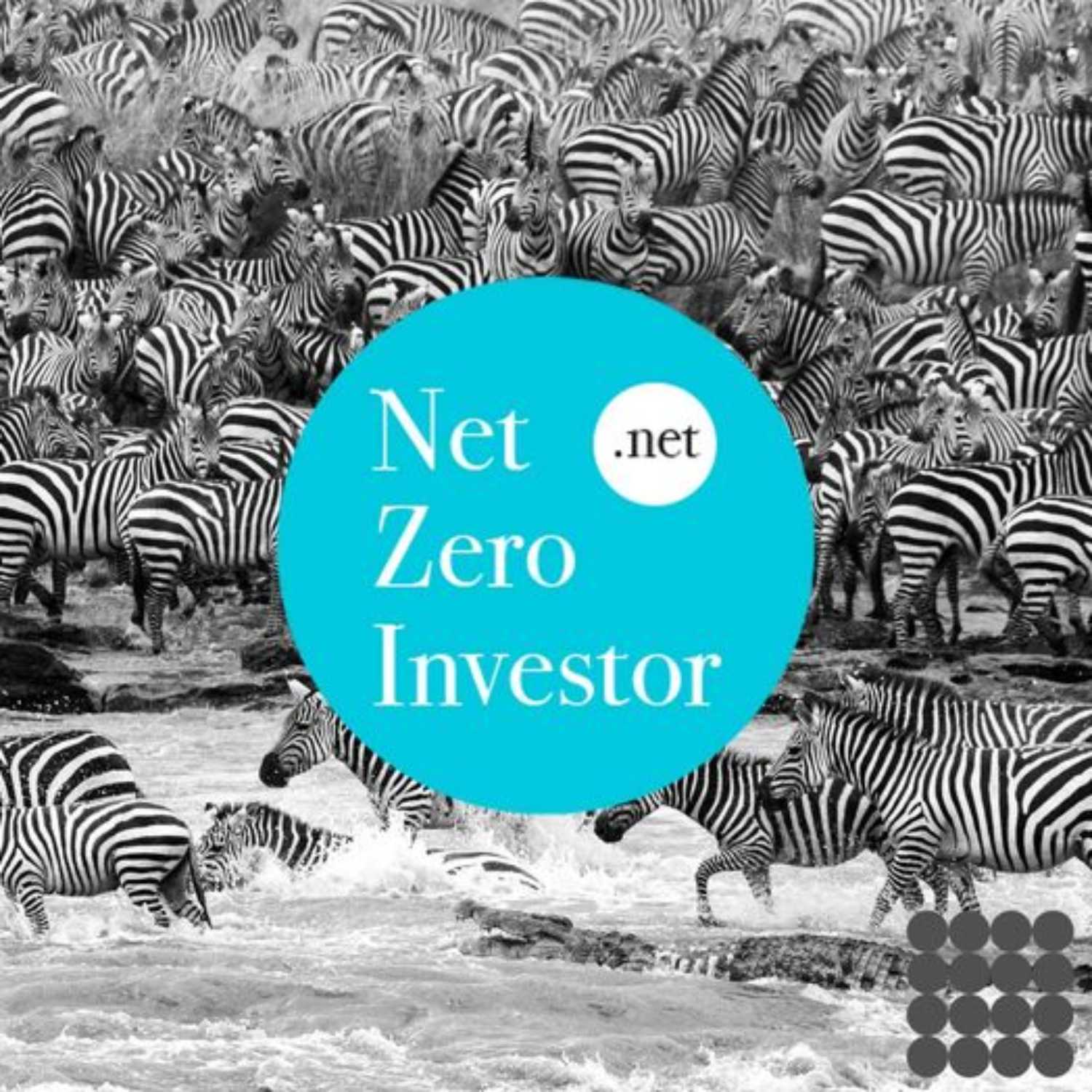 The Net Zero Investor Podcast