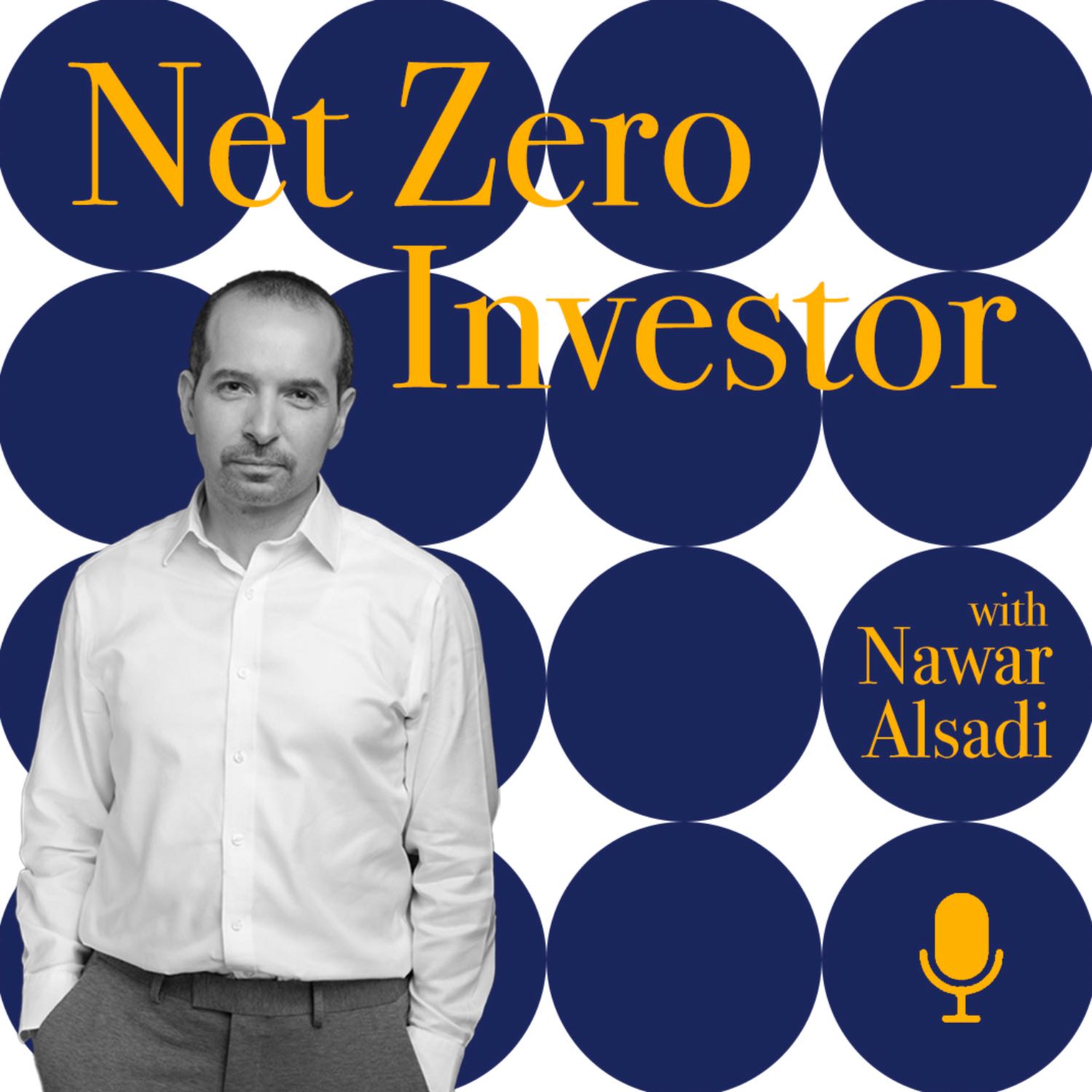 The Net Zero Investor Podcast