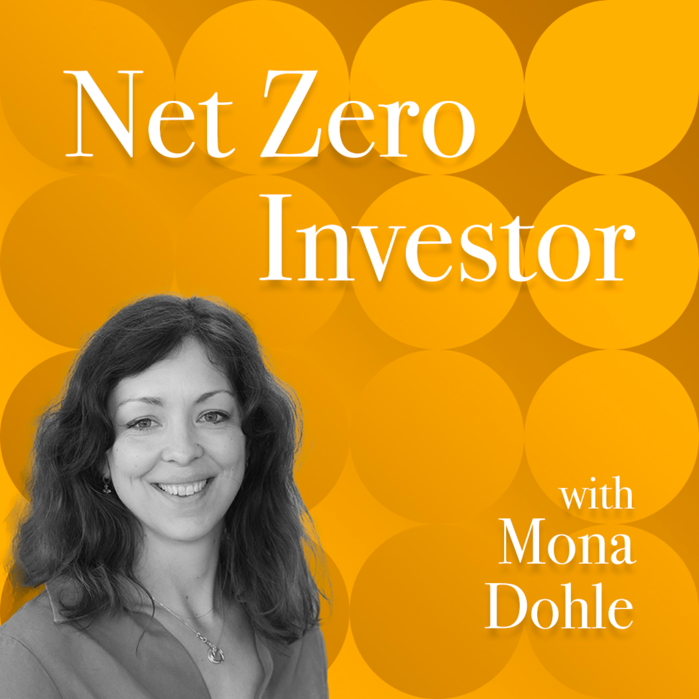 The Net Zero Investor Podcast