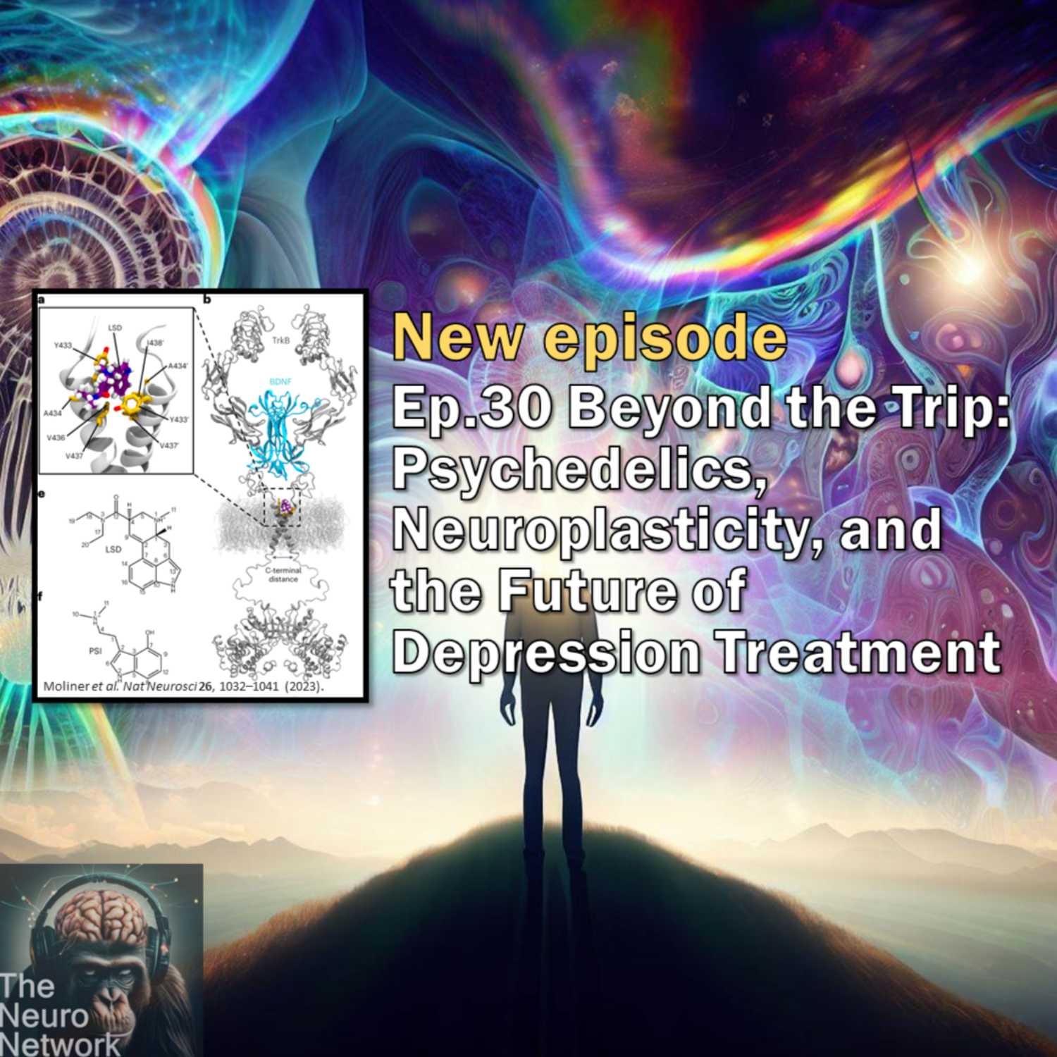 The Neuro Network