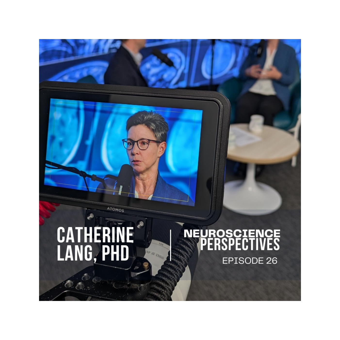 Neuroscience Perspectives
