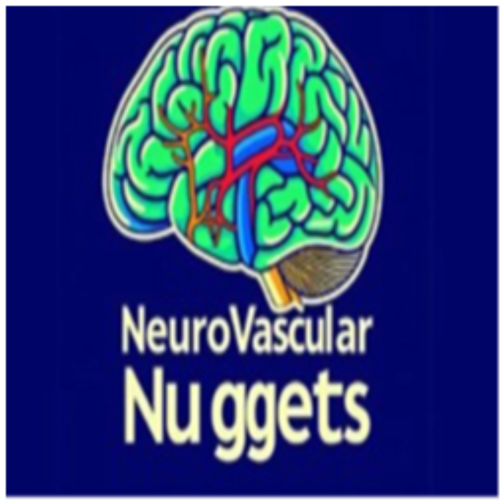 Neurovascular Nuggets: Your Weekly Dose of Neurovascular Innovation podcast artwork
