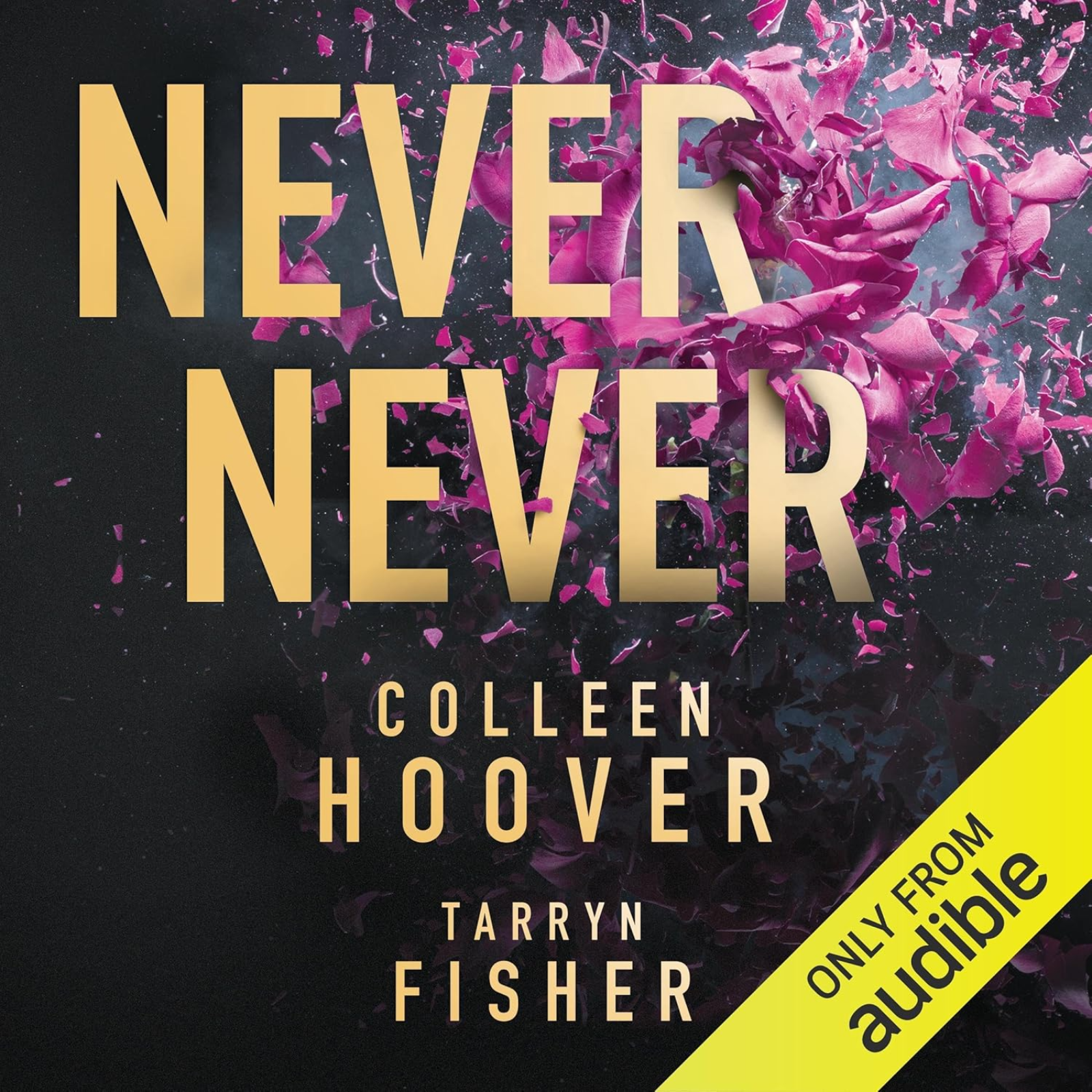 Never Never: A Romantic Suspense Novel of Love and Fate by Colleen Hoover, Book Summary, Podcast