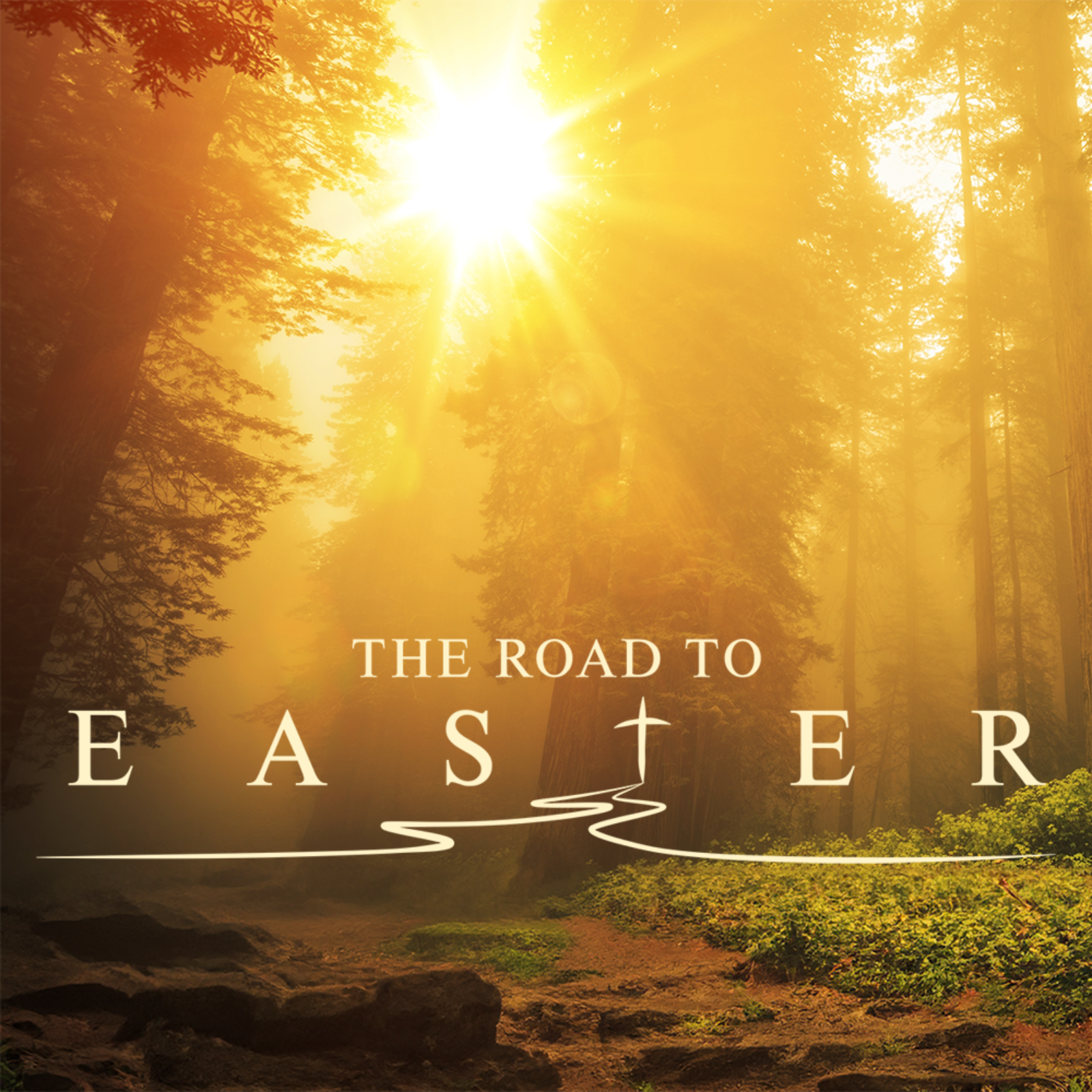 The Road to Palm Sunday episode artwork
