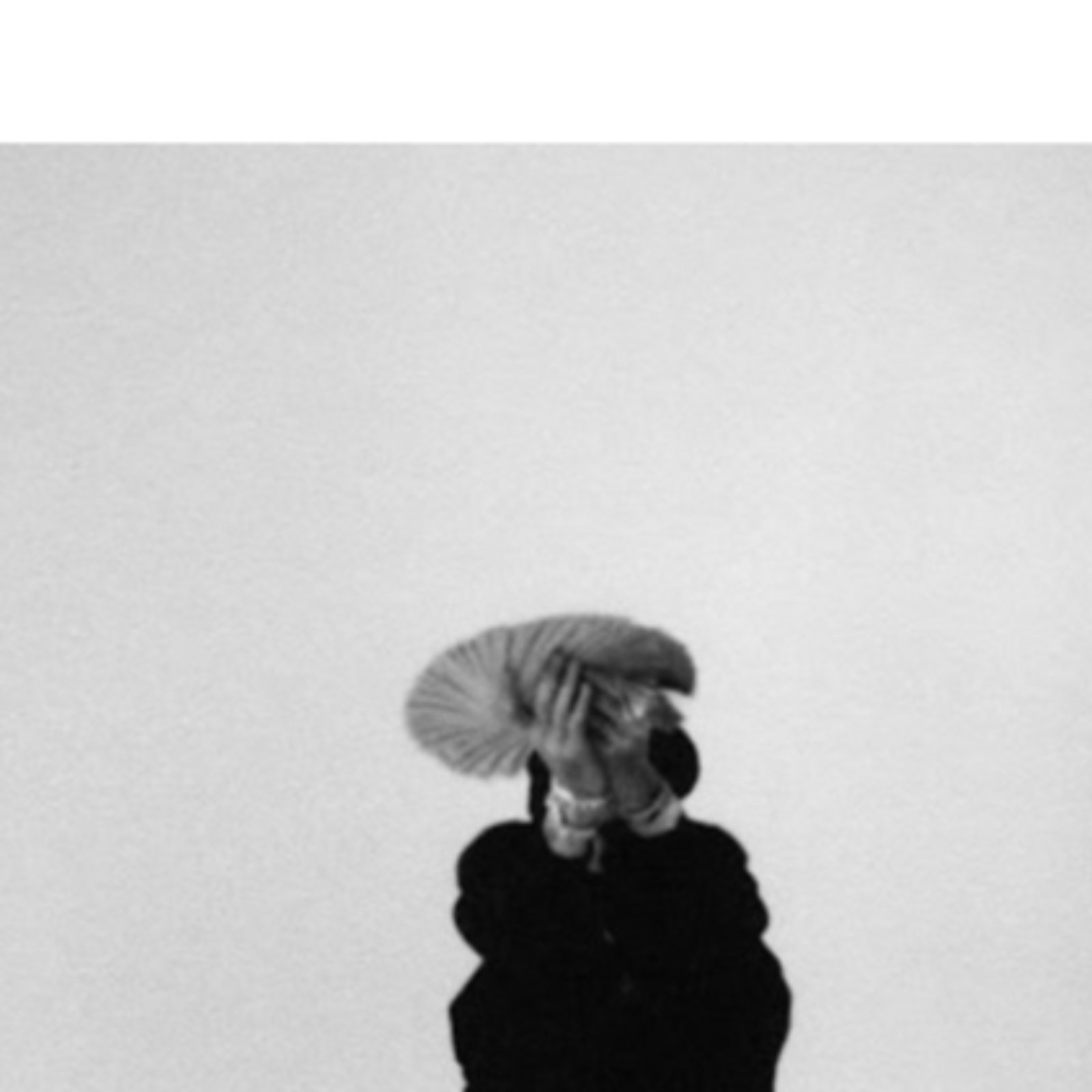 Luh Tyler – Kobe