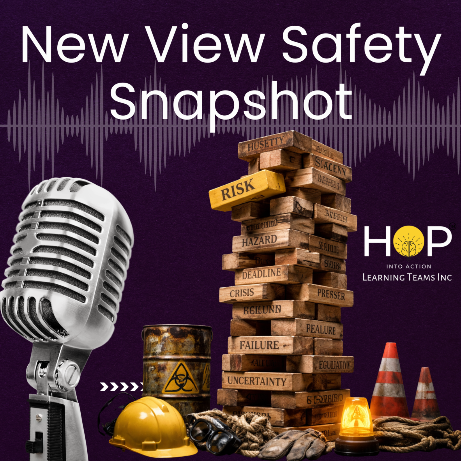 New View Safety Snapshot
