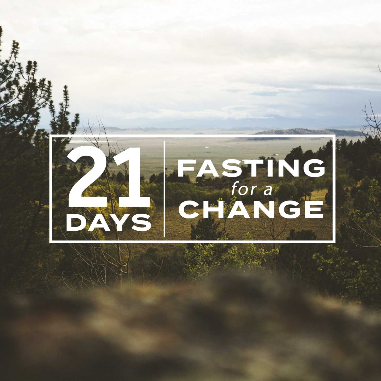 Fasting for a Change :: In My Community