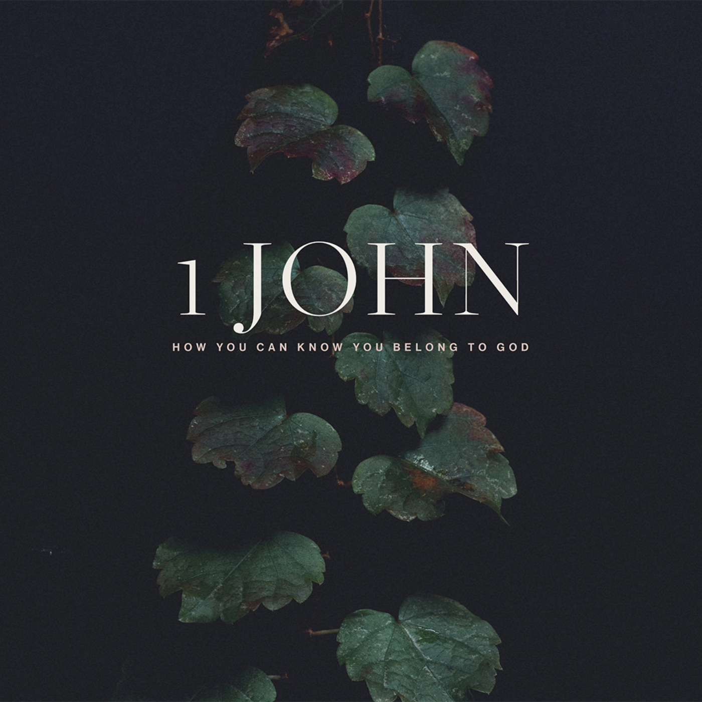 1 John :: Faith in Jesus Changes Everything