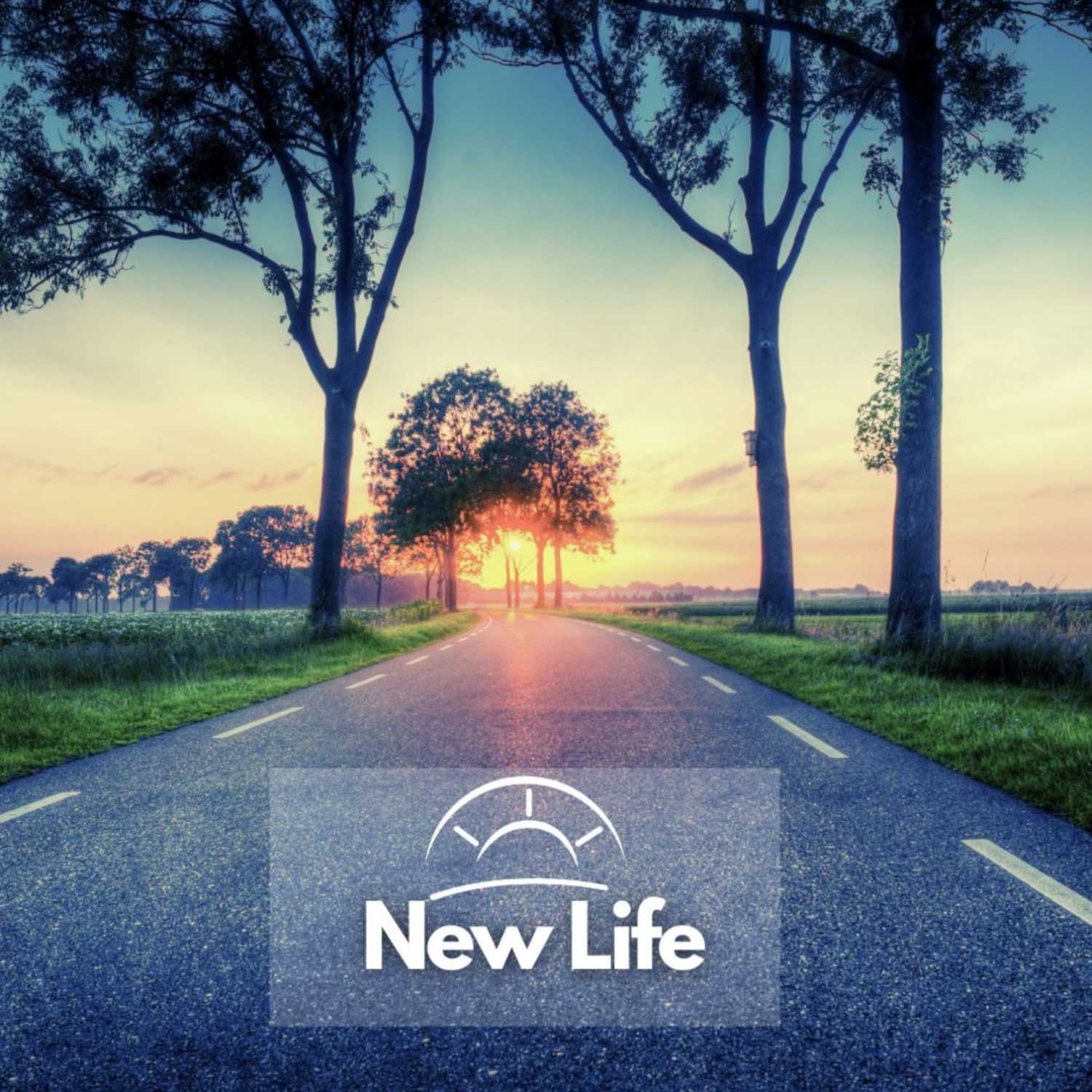 New Life Church of Mobile