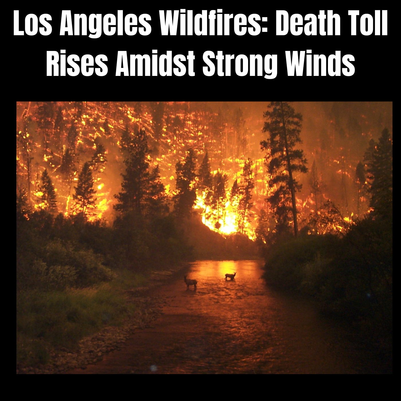 Los Angeles Wildfires: Death Toll Rises Amidst Strong Winds