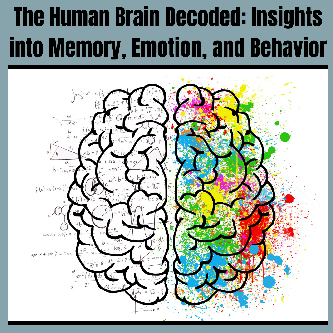 The Human Brain Decoded: Insights into Memory, Emotion, and Behavior
