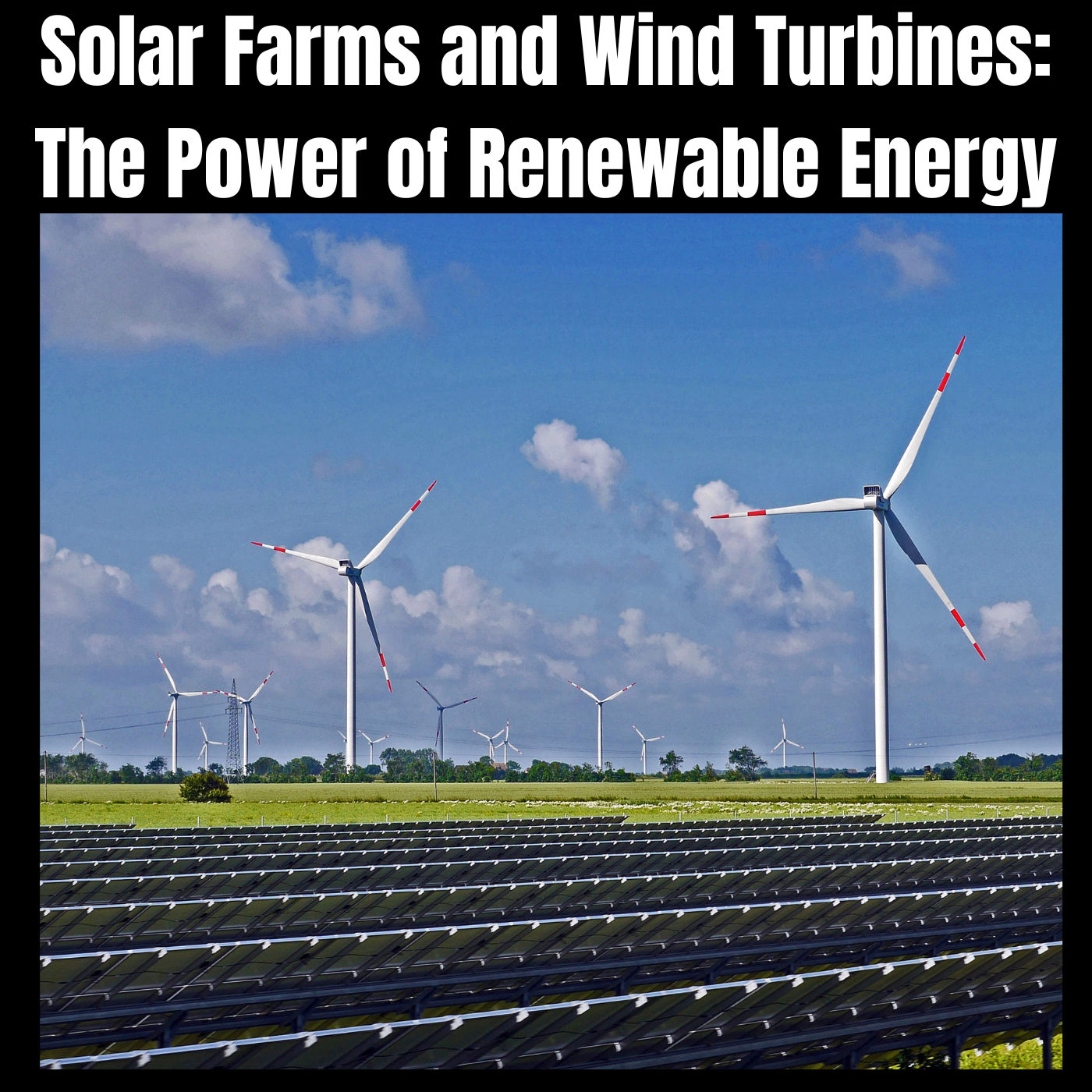 Solar Farms and Wind Turbines: The Power of Renewable Energy
